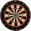 BRISTLE DARTBOARD