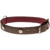 COBBYS PET Obojok z pravej olejovej kože, hnedý, podšitý a zdobený zlatými nitmi s kryštálmi 25mm/65cm