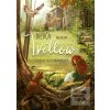 Dievča menom Willow (Sabine Bohlmannová)
