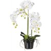 Umelá orchidea phalaenopsis 62 cm biela v plastovom kvetináči 15 cm