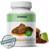 MycoMedica Chaga Extract, 500 mg, 90 rastlinných kapsúl