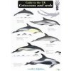 Guide to the UK Cetaceans and Seals (Mark Peter Simmonds)(List)