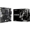 Biostar A520MT