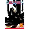 Bleach, Vol. 15
