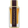 Salvatore Ferragamo Spicy Leather Parfumovaná voda 100ml, pánske