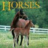 Horses: An Abridgement of Harold Roths Big Book of Horses Driscoll LauraPaperback