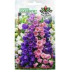 Zvonček záhradný Campanula medium 1 g