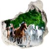 Samolepiaca nálepka na stenu Cválajúca kone 75x75 cm