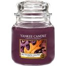 Yankee Candle Autumn Glow 411 g