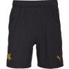 Pánske futbalové šortky Puma, SKS SHORTS PROMO čierna,zlatá S