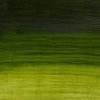 Winsor & Newton W&N ARTISAN Vodou riediteľné olejové farby 37ml, rôzne Odtieň: 503 - Permanent Sap Green