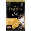 PROSPERA Plus Indoor 1+ Salmon Long Hair 2kg