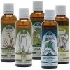 Kúra K41 jarná detoxikácia organizmu