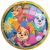 John Lopta Paw Patrol 22 cm