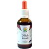 Salvia Paradise Perila krovitá AF tinktúra 50 ml