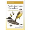 Field Guide to North American Flycatchers – Kingbirds and Myiarchus