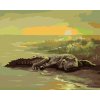 ZUTY Maľovanie podľa čísel - ALIGÁTOR PRI VODE (D. RUSTY RUST) Rámovanie: vypnuté plátno na rám, Rozmer: 40x50 cm