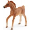 Schleich Žriebä s prikrývkou, 42361