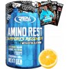 Real Pharm Amino Rest 500 g