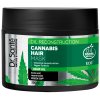 Dr. Santé Cannabis Hair Mask - maska na slabé a poškodené vlasy s konopným olejom 300 ml