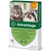 Advantage pre malé mačky a králiky 40mg 4x0,4ml