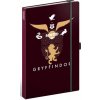 Notes Harry Potter Gryffindor linkovaný