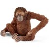 Schleich Schleich Orangutan samica OLP102614775