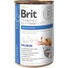 Brit VD Cat GF Recovery 0,4 kg