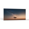 Príroda Samota pod galaxiou | Obrazy Vintessia Rozmery panoráma: 50x100