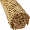 Trstinový plot BASIC voľne balený (Rákosová rohož) š 600 x v 180 cm