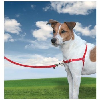 PetSafe Easy Walk Harness