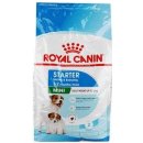 Royal Canin Mini Starter Mother & Babydog 4 kg