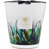 Baobab Collection RAINFOREST – AMAZONIA VONNÁ SVIEČKA 1000 g