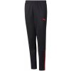 Puma teamLIGA training pants Jr 65724343
