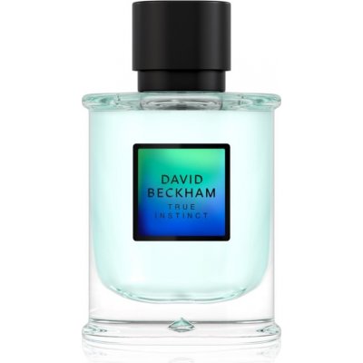 David Beckham True Instinct parfumovaná voda pre mužov 75 ml
