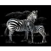 ROYAL & LANGNICKEL Stříbrný škrabací obrázek Zebra s mládětem