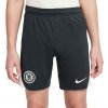Šortky Nike Dri-FIT Chelsea FC Strike Short Kids hj7876-347 Veľkosť S (128-137 cm)