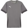 Puma | teamGOAL Matchday Jersey | šedá| XXL