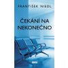 Čekání na nekonečno - František Niedl