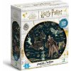 DODO Harry Potter Snape Harry a Draco 500 dielov