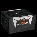 Gigabyte AORUS P750W GP-AP750GM