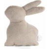 Eurofirany Veľkonočný vankúš / plyšák bežový zajac 39 cm Polyester UNI