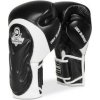 Boxerské rukavice DBX BUSHIDO BB5