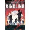 Kindling - Traci Chee