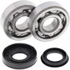 All Balls Racing Ložiská kľukovky a tesnenia All Balls Racing CB24-1095