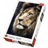 Puzzle Portret lwa 1500 (Hra)
