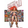 Dynamite Entertainment Invincible Red Sonja (Pevná väzba)