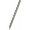 Faber-Castell 117672 akvarelová farebná ceruzka Albrecht Dürer 172