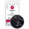 Vanilka Winoszarnia 14 g