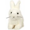 Teddies Králik plyš 15cm biely